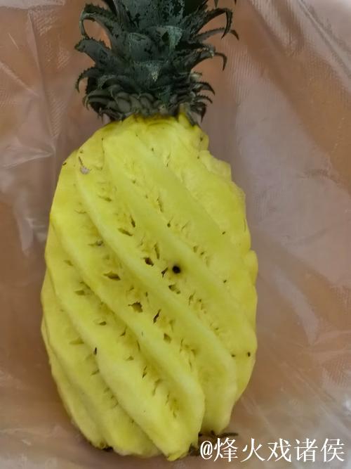 菠萝污视频 菠萝污视频